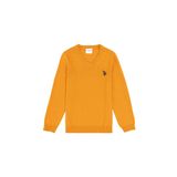 U.S. POLO ASSN. Erkek Çocuk Kazak/triko