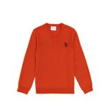 U.S. Polo Assn. Erkek Çocuk Kiremit Basic V Yaka Kazak 50294200-vr031