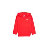 U.S. Polo Assn. Erkek Çocuk Kırmızı Basic Kapüşonlu Şardonlu Sweatshirt 50313808-VR030