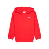 U.S. Polo Assn. Erkek Çocuk Kırmızı Basic Kapüşonlu Sweatshirt 50313808-VR030