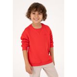 U.S. Polo Assn. Erkek Çocuk Kırmızı Bisiklet Yaka Basic Sweatshirt 50313829-VR030