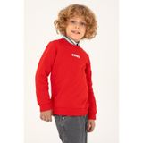 U.S. Polo Assn. Erkek Çocuk Kırmızı Bisiklet Yaka Sweatshirt 50293567-vr030