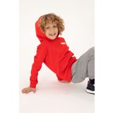 U.S. Polo Assn. Erkek Çocuk Kırmızı Kapüşonlu Sweatshirt 50293566-vr030