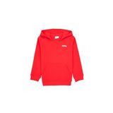 U.S. Polo Assn. Erkek Çocuk Kırmızı Sweatshirt 50313808-VR030