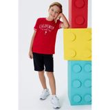 U.S. Polo Assn. Erkek Çocuk Kırmızı T-shirt, Kısa Kollu, Bisiklet Yaka, Regular Kalıp, 10-11 Yaş