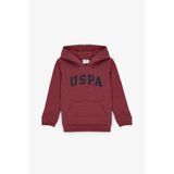 U.S. Polo Assn. Erkek Çocuk Koyu Frambuaz Kapüşonlu Basic Sweatshirt 50314005-VR104