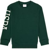 U.S. Polo Assn. Erkek Çocuk Koyu Yeşil Basic Bisiklet Yaka Sweatshirt 50313831-VR079 - 9 - 10 Yaş