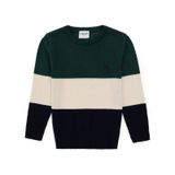 U.S. Polo Assn. Erkek Çocuk Koyu Yeşil Bisiklet Yaka Kazak 50295544-vr079