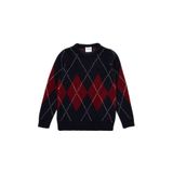U.S. Polo Assn. Erkek Çocuk Lacivert Bisiklet Yaka Kazak 50295513-vr033