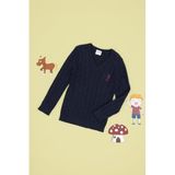 U.S. Polo Assn. Erkek Çocuk Lacivert Kazak/Triko 50315639-VR033