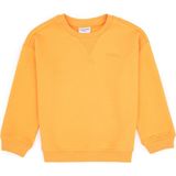 U.S. Polo Assn. Erkek Çocuk Mango Bisiklet Yaka Basic Sweatshirt 50313829-VR244 - 8 - 9 Yaş