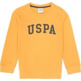 U.S. Polo Assn. Erkek Çocuk Mango Bisiklet Yaka Basic Sweatshirt 50313830-VR244 - 10 - 11 Yaş