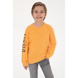 U.S. Polo Assn. Erkek Çocuk Mango Bisiklet Yaka Basic Sweatshirt 50313831-VR244 - 11 - 12 Yaş
