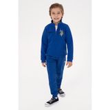 U.s. Polo Assn. Erkek Çocuk Mavi Eşofman Altı 50316517-VR212 - Royal Blue - 5 - 6 Yaş
