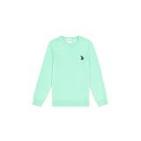 U.S. Polo Assn. Erkek Çocuk Mint Basic Bisiklet Yaka Kazak 50294188-vr090