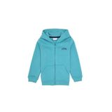 U.S. Polo Assn. Erkek Çocuk Mint Fermuarlı Şardonlu Kapüşonlu Örme Hırka 50313852-VR152