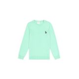 U.s. Polo Assn. Erkek Çocuk Mint Kazak /triko 50294188-vr090
