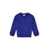 U.S. Polo Assn. Erkek Çocuk Mor Bisiklet Yaka Basic Sweatshirt 50313829-VR038