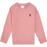 U.S. Polo Assn. Erkek Çocuk Orkide Basic Bisiklet Yaka Sweatshirt 50313832-VR221 - 11 - 12 Yaş