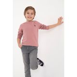 U.S. Polo Assn. Erkek Çocuk Orkide Basic Bisiklet Yaka Sweatshirt 50313832-VR221 - 3 - 4 Yaş