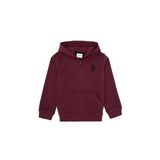 U.S. Polo Assn. Erkek Çocuk Plum Hırka (Örme) 50316706-VR177