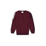 U.S. Polo Assn. Erkek Çocuk Plum Kazak/Triko 50317136-VR177