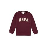 U.S. Polo Assn. Erkek Çocuk Plum Sweatshirt 50313830-VR177