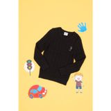 U.S. Polo Assn. Erkek Çocuk Siyah Bisiklet Yaka Basic Kazak 50315638-VR046