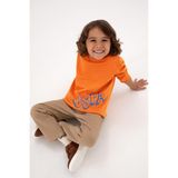 U.S. Polo Assn. Erkek Çocuk Sweatshirt 50313979