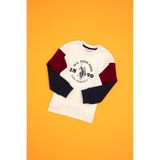 U.S. Polo Assn. Erkek Çocuk Sweatshirt 50316626