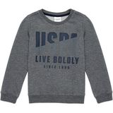 U.S. Polo Assn. Erkek Çocuk Sweatshirt - Gri - 8 - 9 Yaş