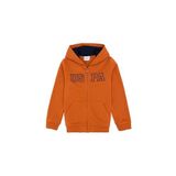 U.S. Polo Assn. Erkek Çocuk Tarçın Hırka (örme) 50293472-VR191, TARCIN, 5-6 Yaş