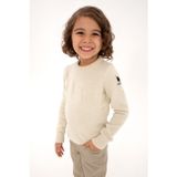 U.S. Polo Assn. Erkek Çocuk Taş Bisiklet Yaka Kazak 50315625-VR049