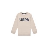 U.S. Polo Assn. Erkek Çocuk Taş Bisiklet Yaka Sweatshirt 50289143-VR049