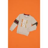 U.S. Polo Assn. Erkek Çocuk Taş Melanj Bisiklet Yaka Kazak 50317165-VR225