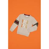 U.S. Polo Assn. Erkek Çocuk Taş Melanj Kazak/Triko 50317165-VR225