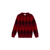 U.S. Polo Assn. Erkek Çocuk Vişne Kazak 50293014-VR223