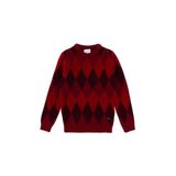 U.S. Polo Assn. Erkek Çocuk Vişne Kazak/Triko 50293014-VR223
