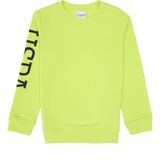 U.S. Polo Assn. Erkek Çocuk Yeşil Basic Bisiklet Yaka Sweatshirt 50313831-VR020 - Elma Yeşili - 9 - 10 Yaş