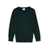 U.S. Polo Assn. Erkek Çocuk Yeşil Bisiklet Yaka Basic Kazak 50315586-VR054