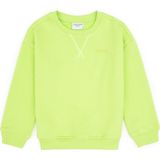 U.S. Polo Assn. Erkek Çocuk Yeşil Bisiklet Yaka Basic Sweatshirt 50313829-VR020 - Elma Yeşili - 10 - 11 Yaş