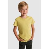 U.S. Polo Assn. Erkek Çocuk Yeşil Bisiklet Yaka Basic Tişört 50325555-VR235