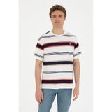 U.S. Polo Assn. Erkek Comfort Fit Bisiklet Yaka Kırmızı Tişört 50287038-vr030