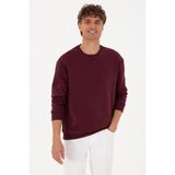 U.S. Polo Assn. Erkek Comfort Fit Bisiklet Yaka Şardonlu Bordo Basic Sweatshirt 50313757-VR177