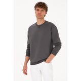 U.S. Polo Assn. Erkek Comfort Fit Bisiklet Yaka Şardonlu Gri Basic Sweatshirt 50313757-VR024