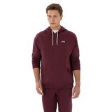 U.S. Polo Assn. Erkek Plum Sweatshirt 50313782-VR177