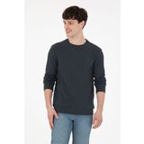 U.S. Polo Assn. Erkek Regular Fit Bisiklet Yaka Antrasit Sweatshirt 50290063-VR006