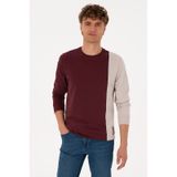 U.S. Polo Assn. Erkek Regular Fit Bisiklet Yaka Bordo İnce Sweatshirt 50316316-VR177