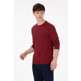 U.S. Polo Assn. Erkek Regular Fit Bisiklet Yaka Bordo Sweatshirt 50290063-VR014