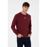 U.S. Polo Assn. Erkek Regular Fit Bisiklet Yaka Bordo Sweatshirt 50293436-VR014